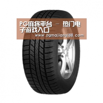 PG麻将平台产品名称八