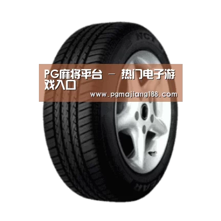PG麻将平台产品名称四